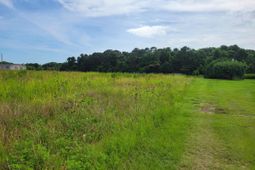 4798 Reggie Road photo 4