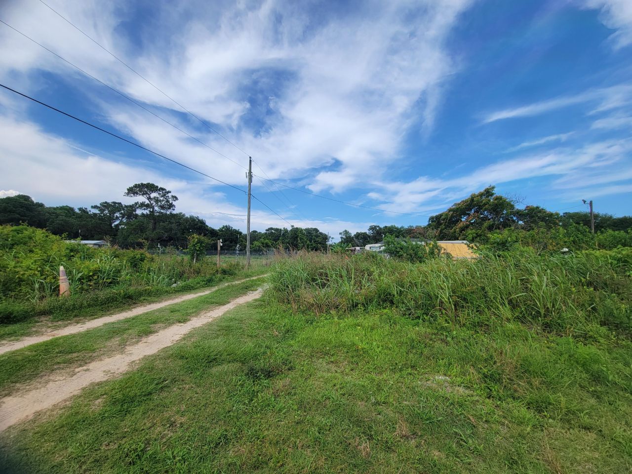 4798 Reggie Road Photo 4