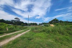 4798 Reggie Road photo 4