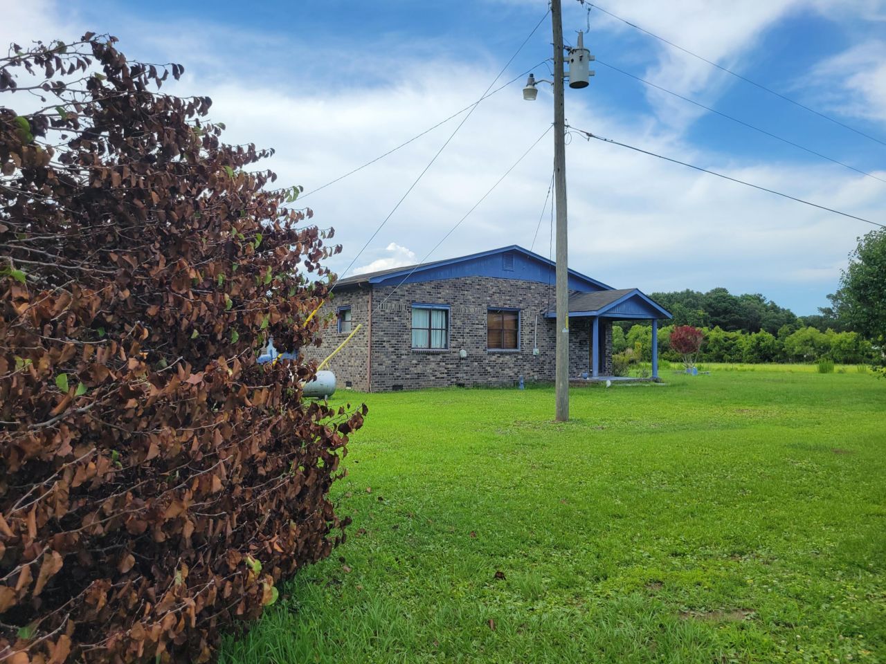 4798 Reggie Road Photo 5