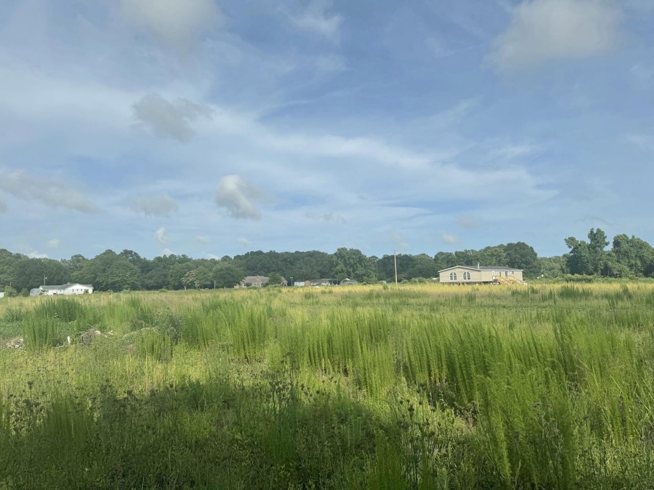 4798 Reggie Road Photo 6