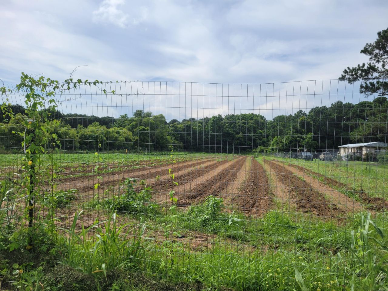 4798 Reggie Road Photo 7