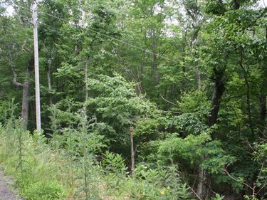 41 S HIGH VALLEY DR, Unit 41, MONTEREY, VA 24465