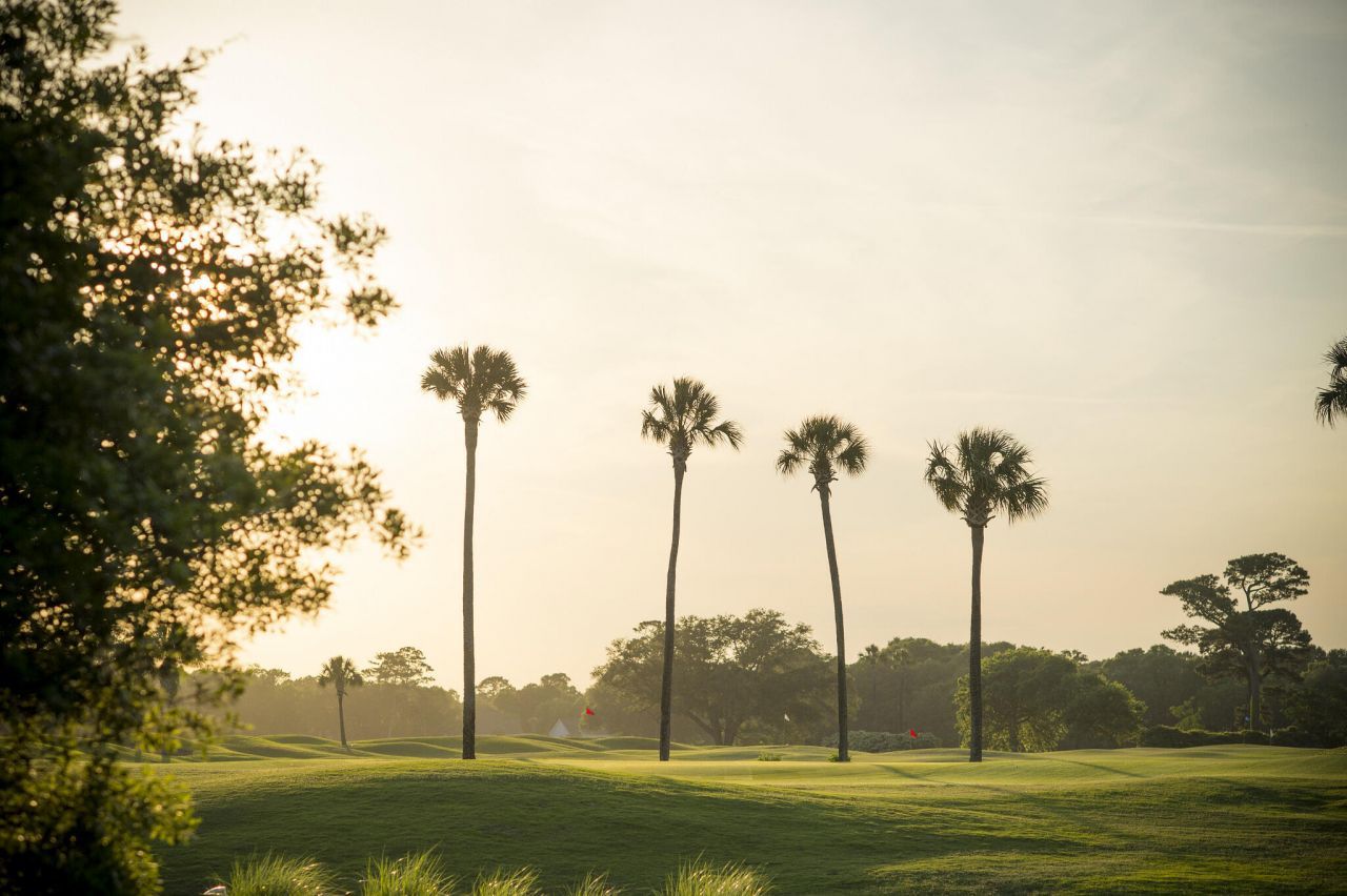 3026 Maritime Forest Drive Photo 17