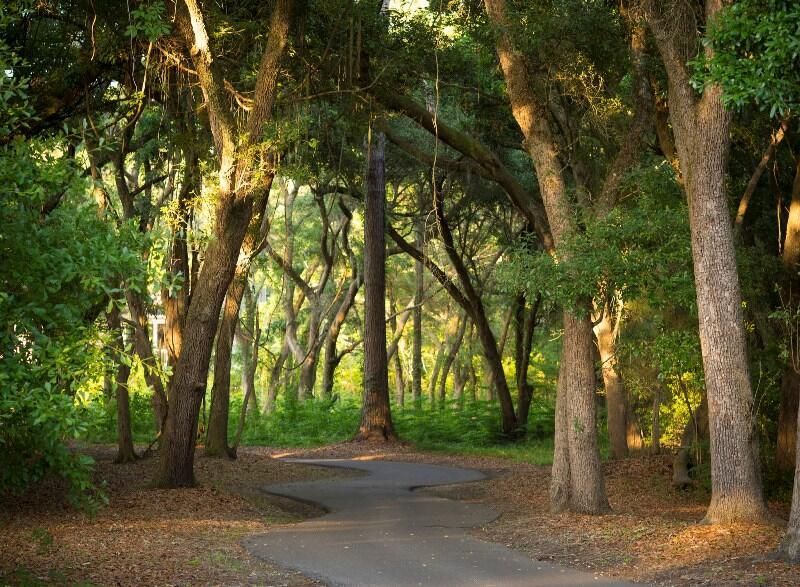 3026 Maritime Forest Drive Photo 26