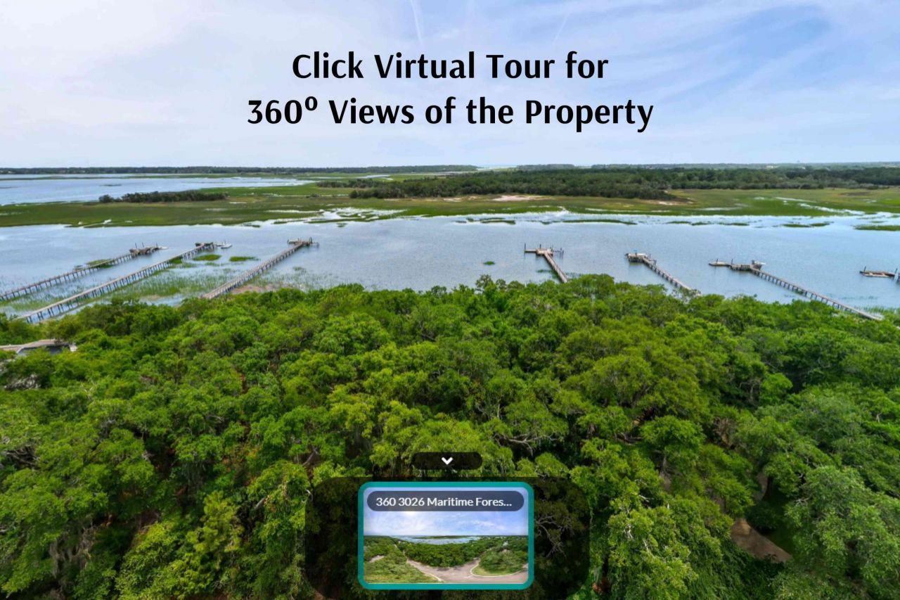 3026 Maritime Forest Drive Photo 8