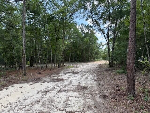 1482 Hebron Road Photo 4