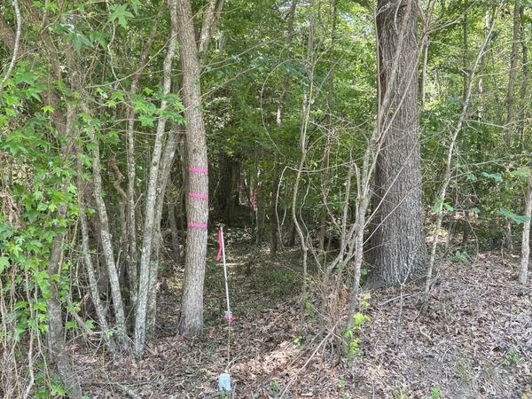 Lot 25 Buckhorn Church Road, Como, NC 27818