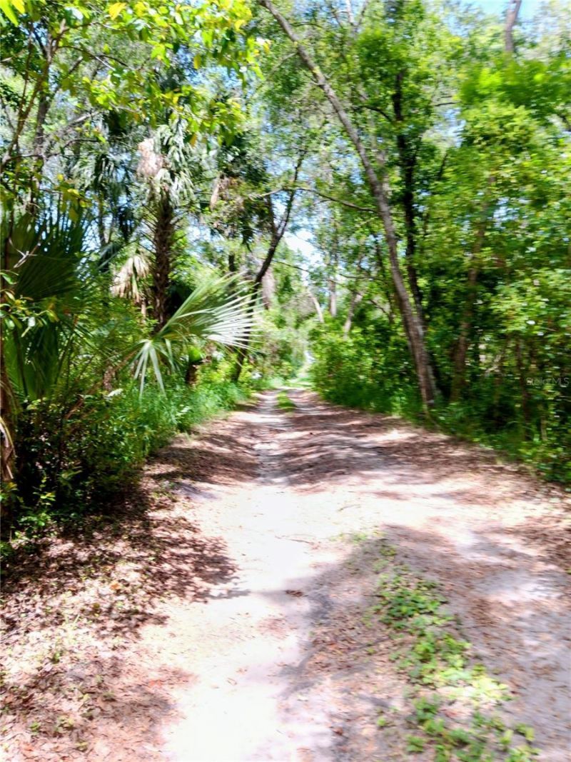 2700 Junction Road, Zellwood, FL 32798 Photo