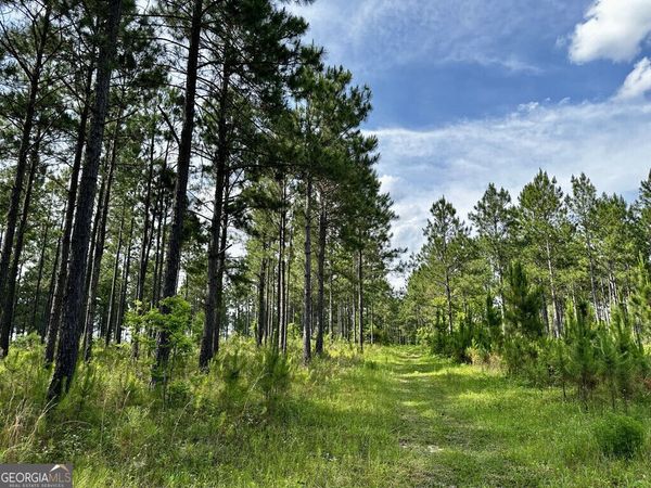 0 Old Prison Camp, Mcrae, GA 31055