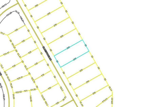 BLUESTONE DRIVE, CHIPLEY, FL 32428