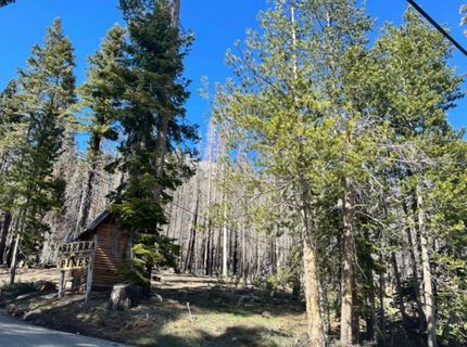 7177 Sierra Pines Rd, Twin Bridges, CA 95735 Photo