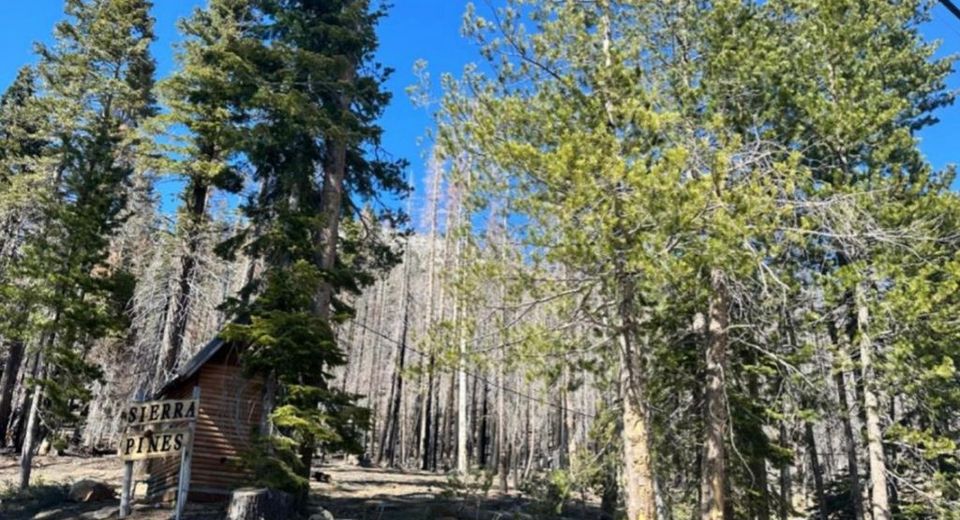 7177 Sierra Pines Rd, Twin Bridges, CA 95735 Photo