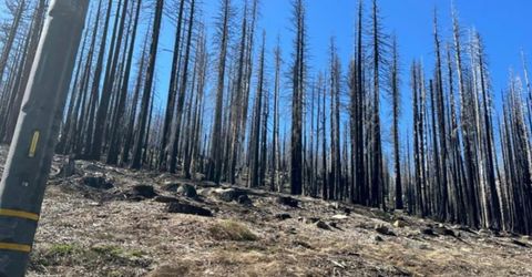7177 Sierra Pines Rd, Twin Bridges, CA 95735 Photo