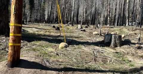 7177 Sierra Pines Rd, Twin Bridges, CA 95735 Photo