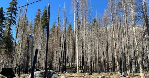 7177 Sierra Pines Rd, Twin Bridges, CA 95735 Photo