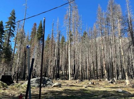 7177 Sierra Pines Rd, Twin Bridges, CA 95735 Photo