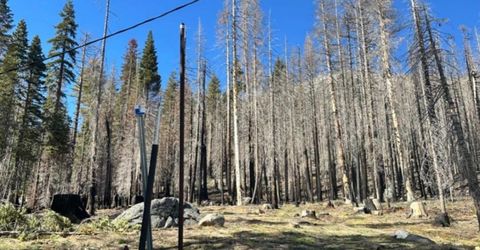 7177 Sierra Pines Rd, Twin Bridges, CA 95735 Photo