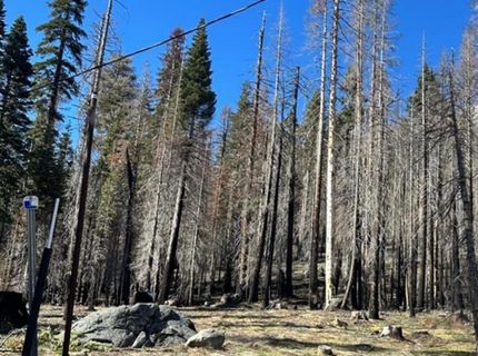 7177 Sierra Pines Rd, Twin Bridges, CA 95735 Photo