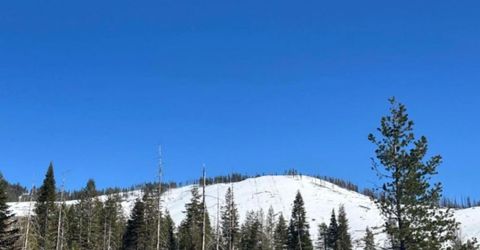 7177 Sierra Pines Rd, Twin Bridges, CA 95735 Photo