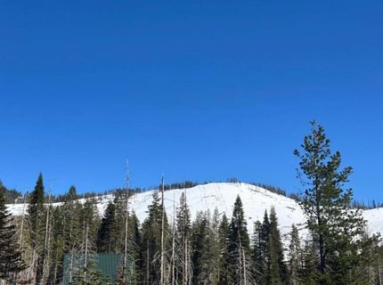 7177 Sierra Pines Rd, Twin Bridges, CA 95735 Photo