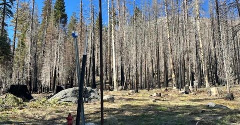 7177 Sierra Pines Rd, Twin Bridges, CA 95735 Photo