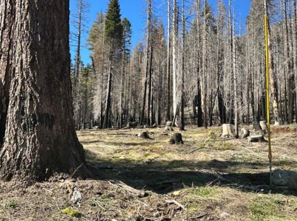 7177 Sierra Pines Rd, Twin Bridges, CA 95735 Photo
