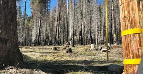 7177 Sierra Pines Rd, Twin Bridges, CA 95735 Photo