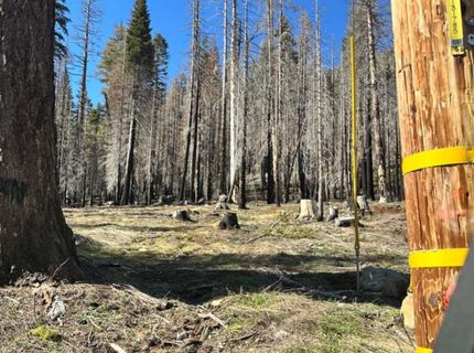 7177 Sierra Pines Rd, Twin Bridges, CA 95735 Photo
