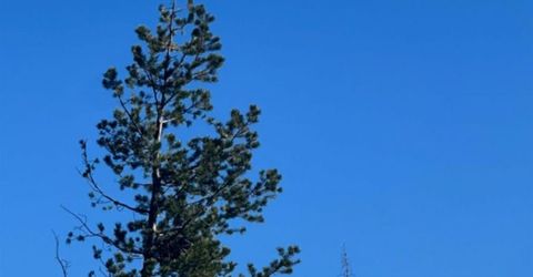 7177 Sierra Pines Rd, Twin Bridges, CA 95735 Photo