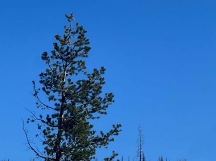 7177 Sierra Pines Rd, Twin Bridges, CA 95735 Photo