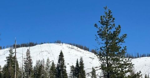 7177 Sierra Pines Rd, Twin Bridges, CA 95735 Photo