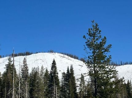 7177 Sierra Pines Rd, Twin Bridges, CA 95735 Photo