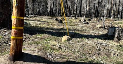 7177 Sierra Pines Rd, Twin Bridges, CA 95735 Photo