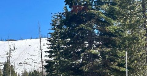 7177 Sierra Pines Rd, Twin Bridges, CA 95735 Photo