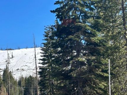 7177 Sierra Pines Rd, Twin Bridges, CA 95735 Photo