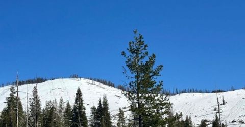 7177 Sierra Pines Rd, Twin Bridges, CA 95735 Photo