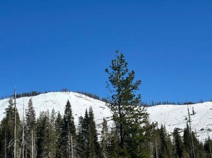 7177 Sierra Pines Rd, Twin Bridges, CA 95735 Photo