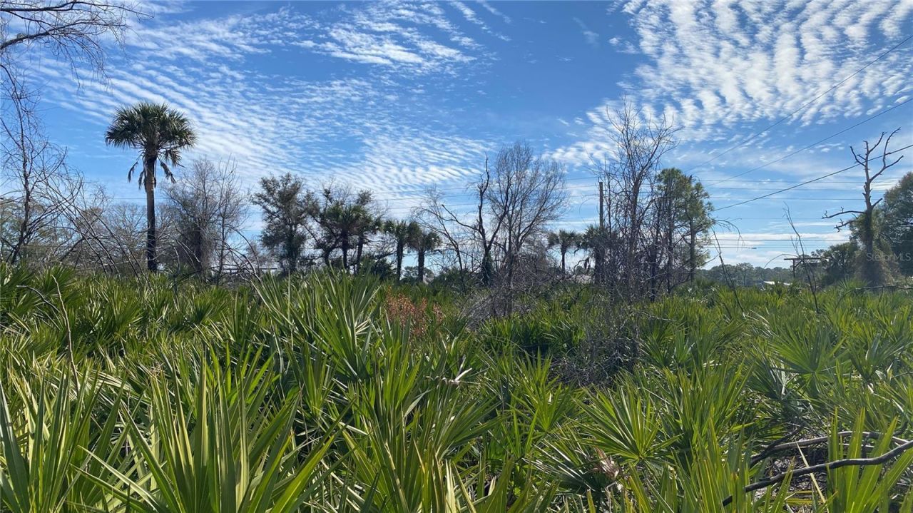 Sr-415, New Smyrna Beach, FL 32168 Photo