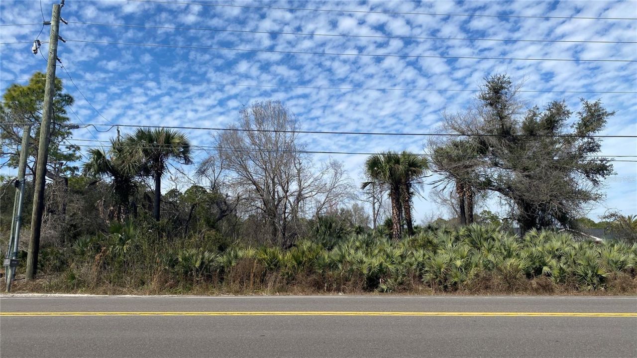 Sr-415, New Smyrna Beach, FL 32168 Photo