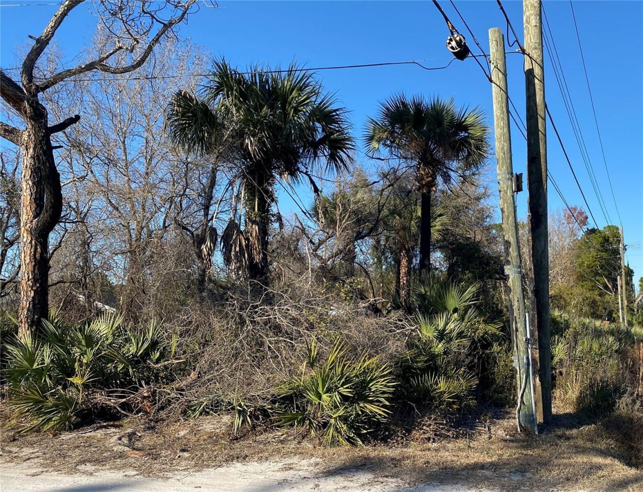 Sr-415, New Smyrna Beach, FL 32168 Photo