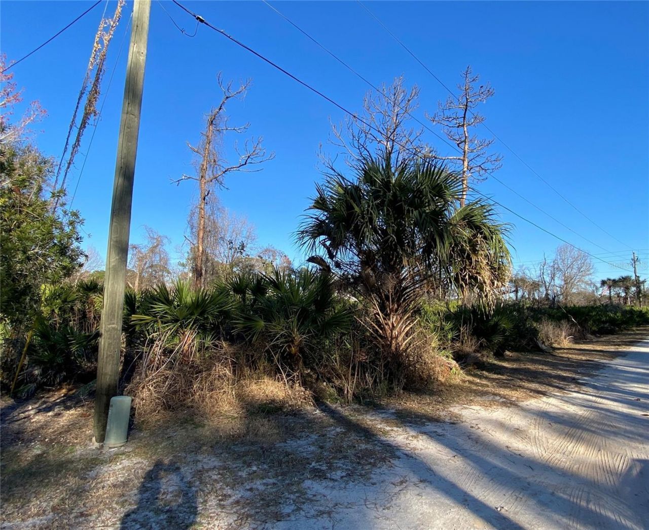 Sr-415, New Smyrna Beach, FL 32168 Photo