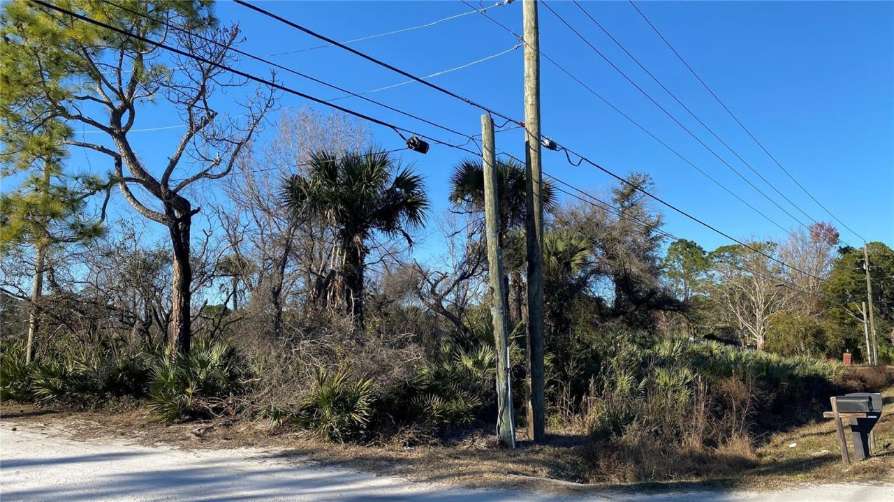 Sr-415, New Smyrna Beach, FL 32168 Photo