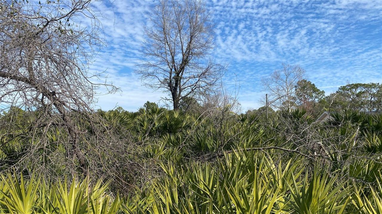 Sr-415, New Smyrna Beach, FL 32168 Photo