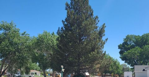 774 Copperwood Drive, Fallon, NV 89406 Photo
