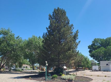 774 Copperwood Drive, Fallon, NV 89406 Photo
