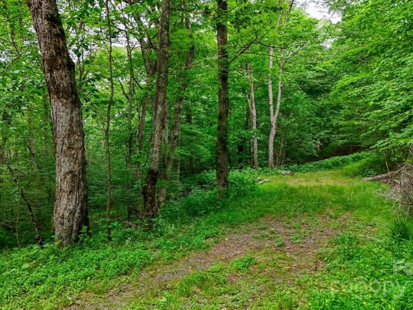 233 Woodland Springs Trail, Boone, NC 28607