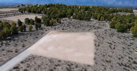 2028 Currant Court, Lot #2, Gardnerville, NV 89410 Photo