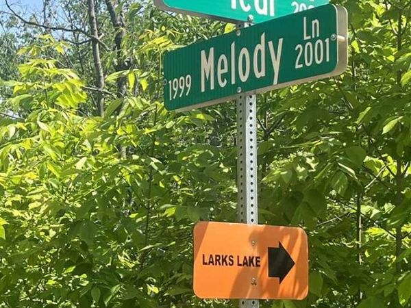 TBD TEAL Road, Pellston, MI 49769