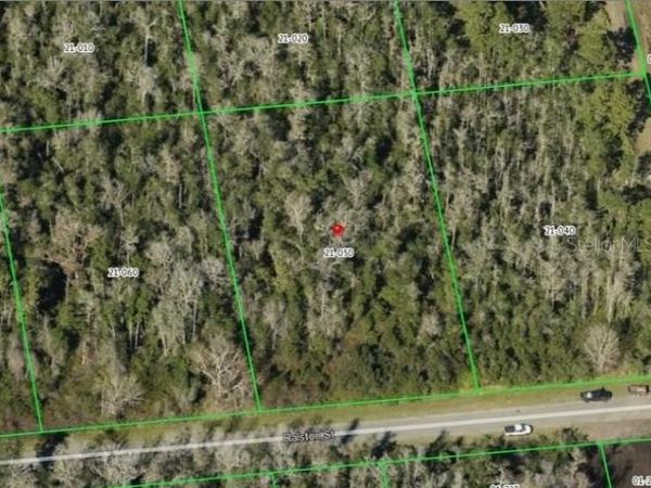 RALSTON STREET, ORLANDO, FL 32833